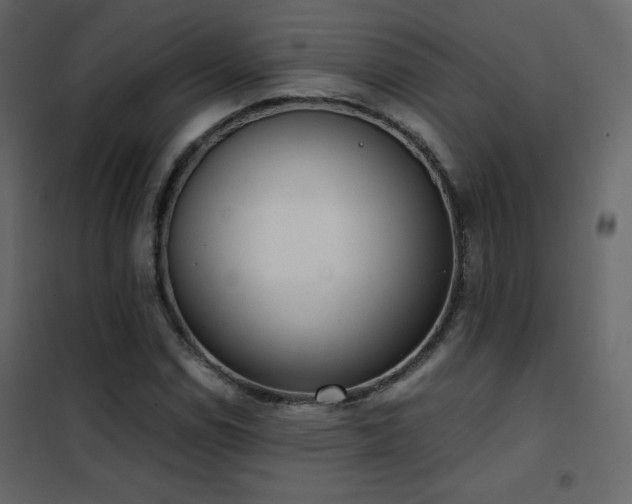 X0000102481114200808081258