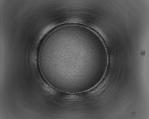 X0000102481115200808081258