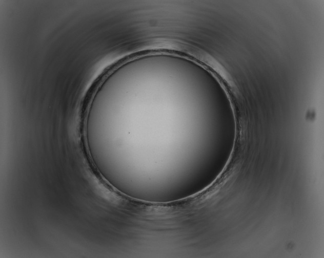 X0000102481116200808081258