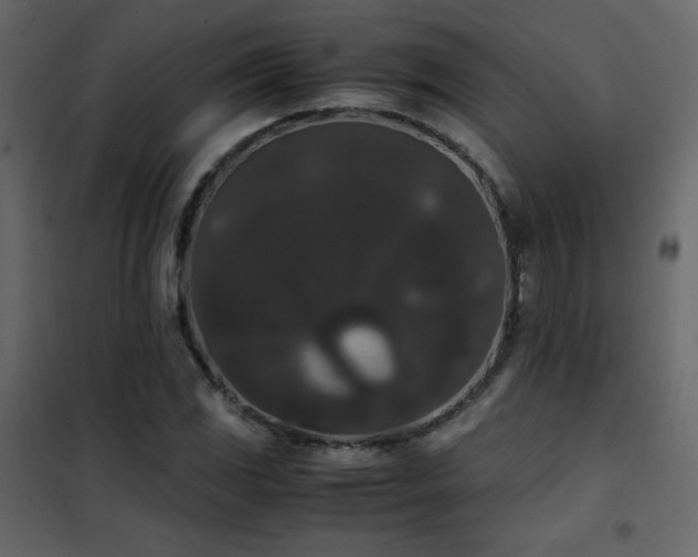 X0000102481117200808081258
