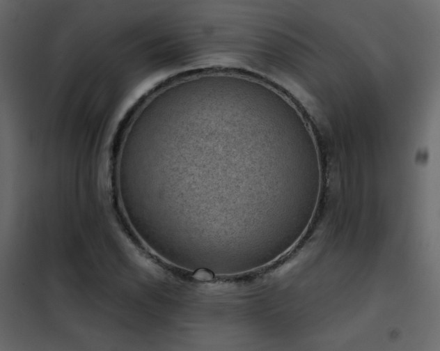 X0000102481118200808081258