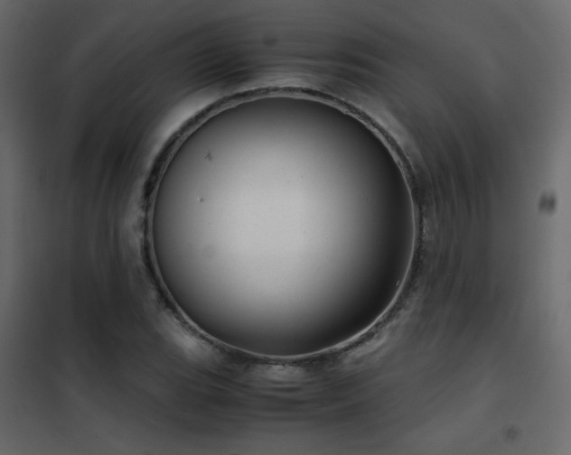 X0000102481119200808081258