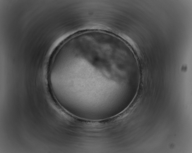 X0000102481120200808081258