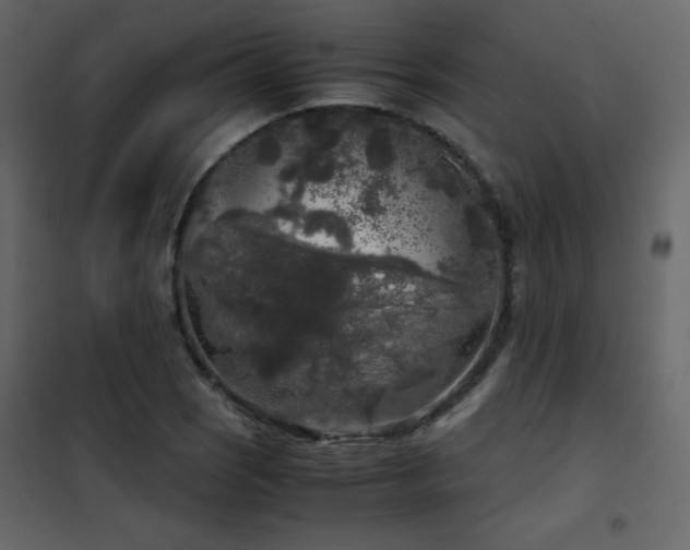 X0000102481121200808081258
