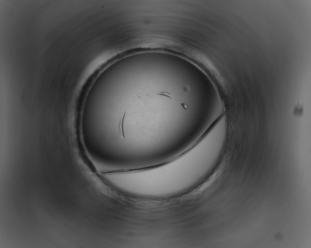 X0000102481122200808081259