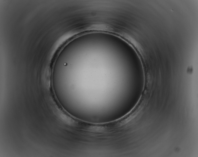 X0000102481123200808081259