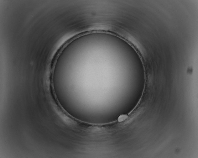 X0000102481124200808081259