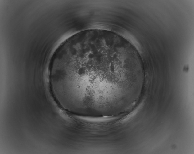 X0000102481125200808081259