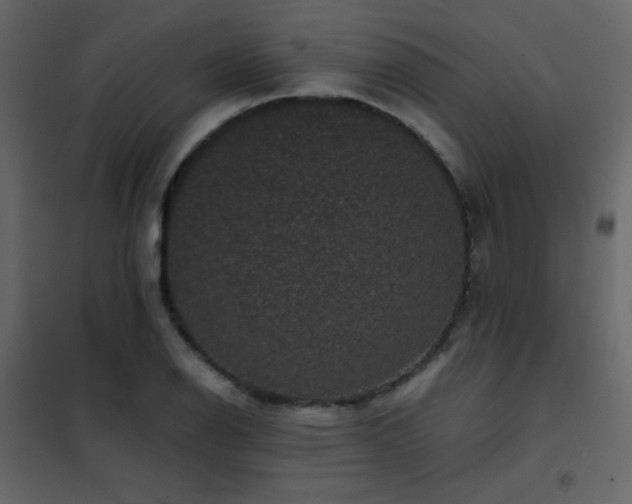 X0000102481126200808081259