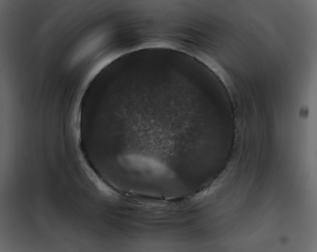 X0000102481127200808081259