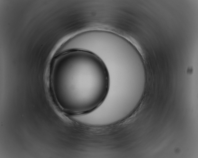 X0000102481128200808081259