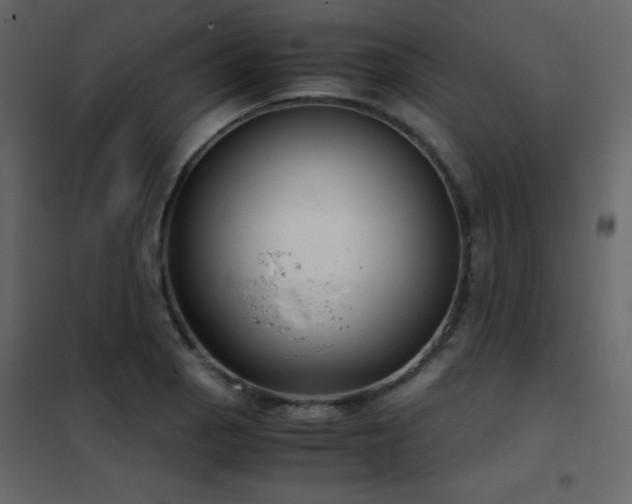 X0000102481129200808081259