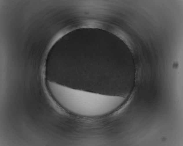 X0000102481130200808081259