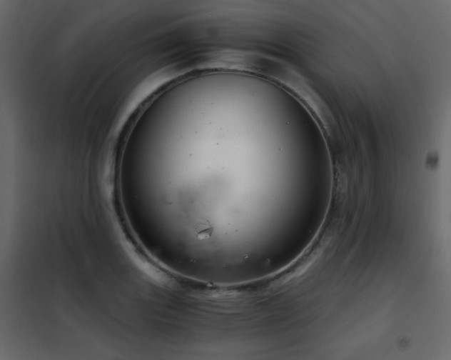 X0000102481131200808081259