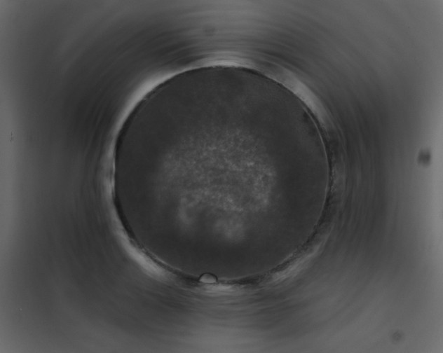 X0000102481132200808081259