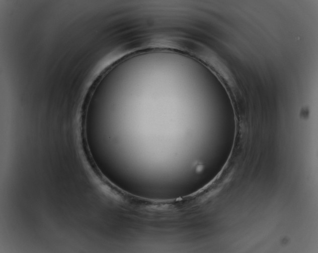 X0000102481133200808081259