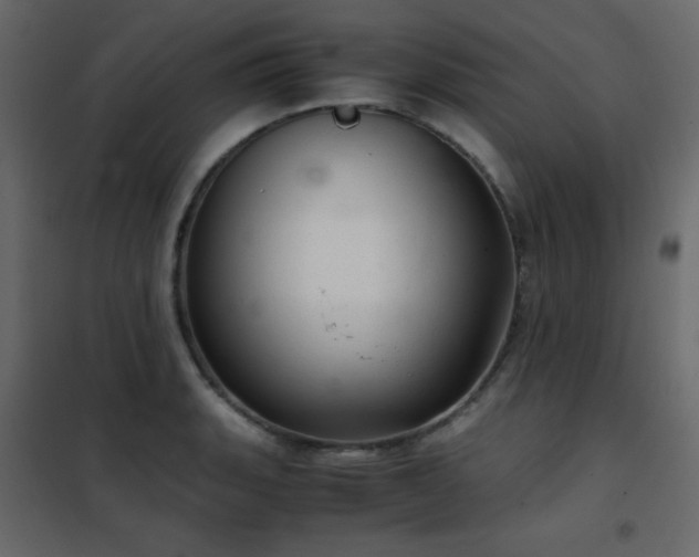 X0000102481135200808081259