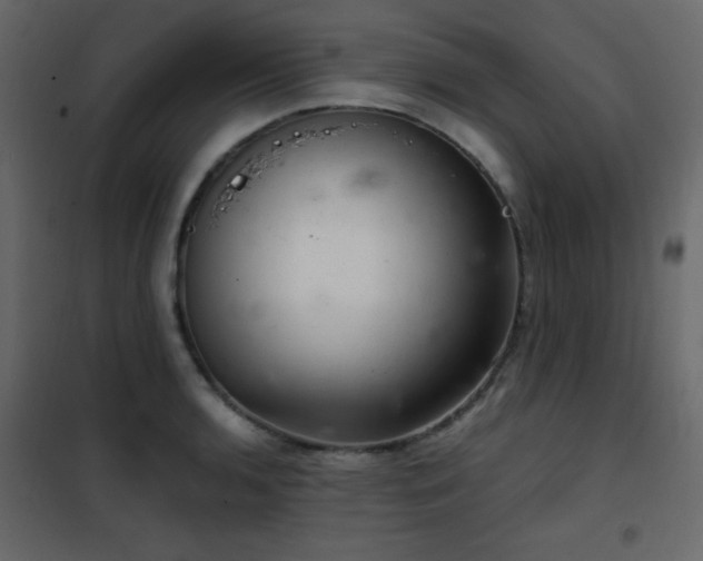 X0000102481136200808081259