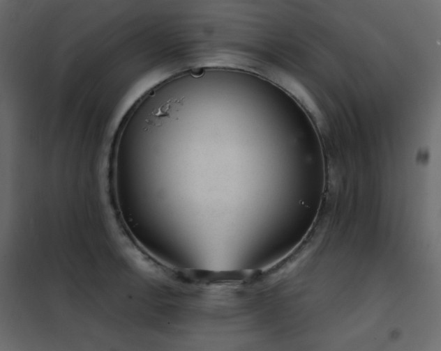 X0000102481138200808081259