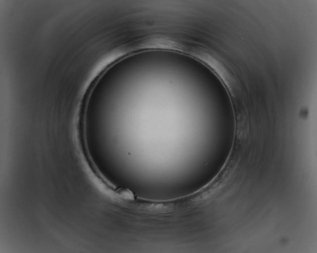 X0000102481139200808081259