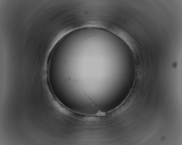 X0000102481140200808081259