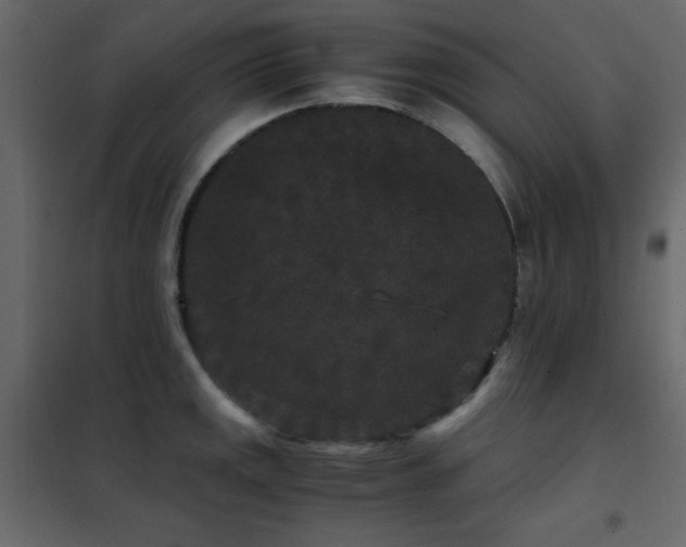X0000102481141200808081259