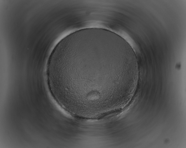 X0000102481142200808081259