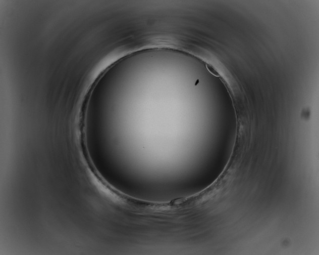 X0000102481143200808081259