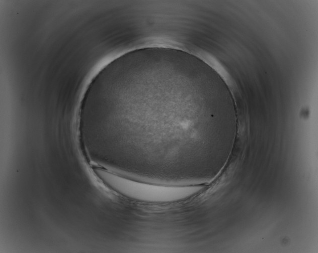 X0000102481144200808081259