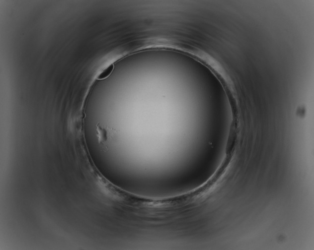 X0000102481145200808081259