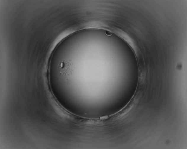 X0000102481146200808081259