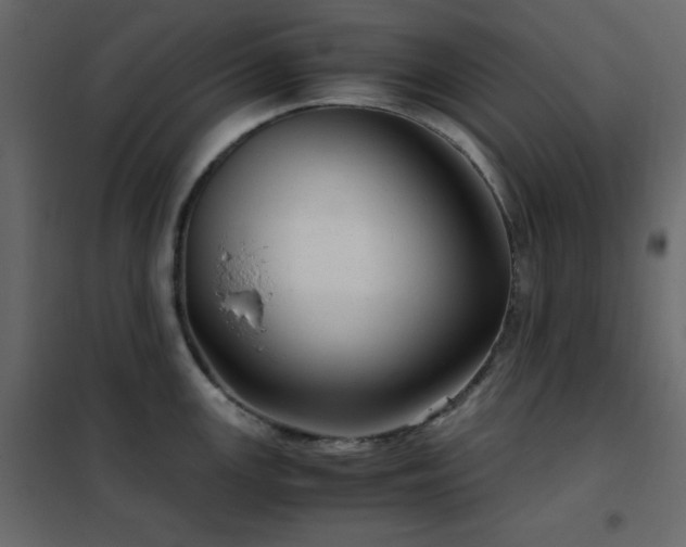 X0000102481147200808081259