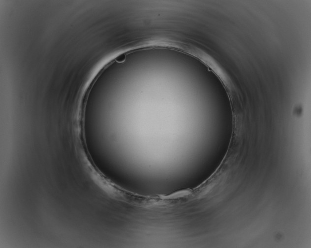 X0000102481148200808081259
