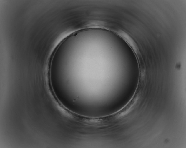 X0000102481149200808081259