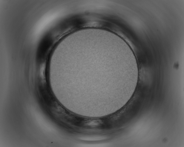 X0000102481150200808081259