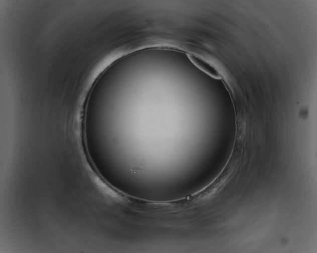 X0000102481151200808081259