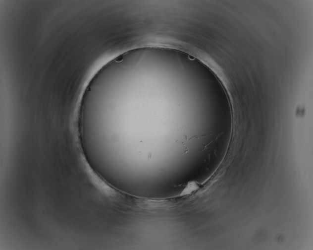 X0000102481152200808081259