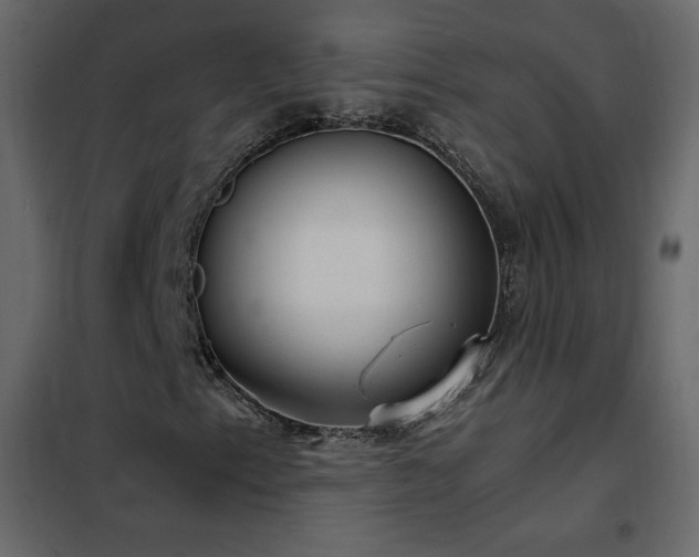 X0000102481153200808081258