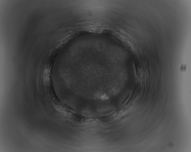 X0000102481154200808081258