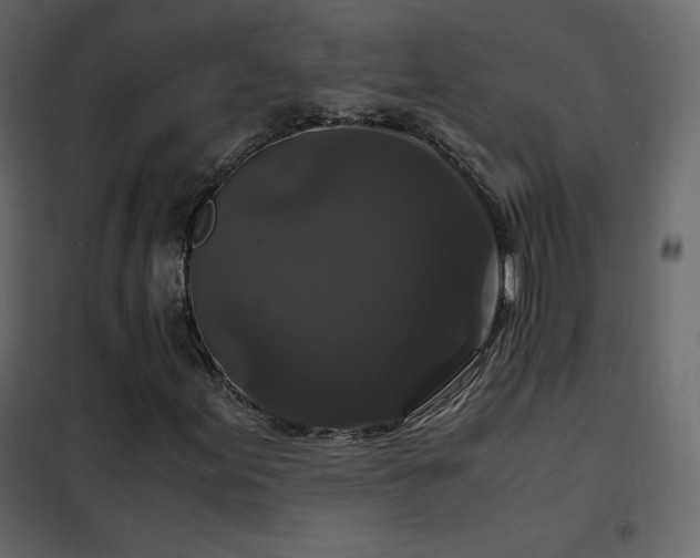 X0000102481155200808081258