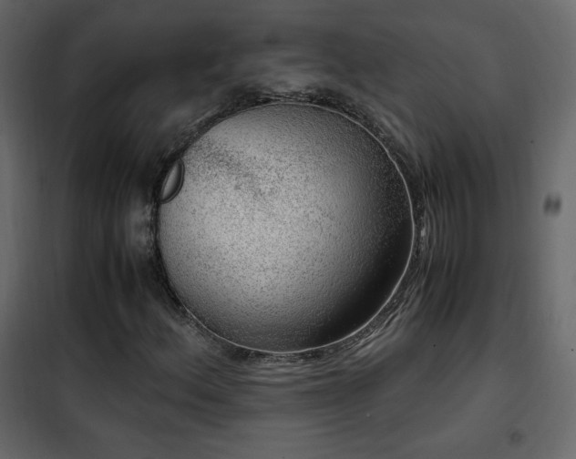 X0000102481156200808081258