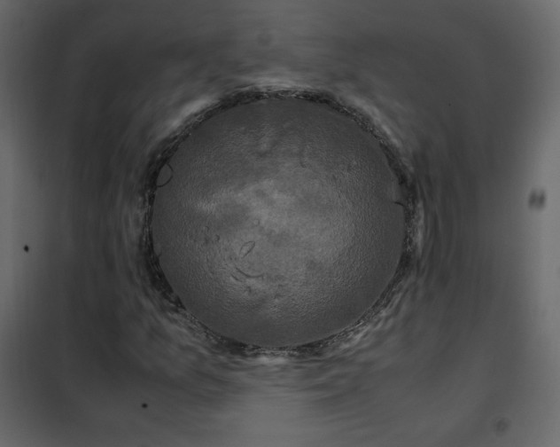 X0000102481157200808081258