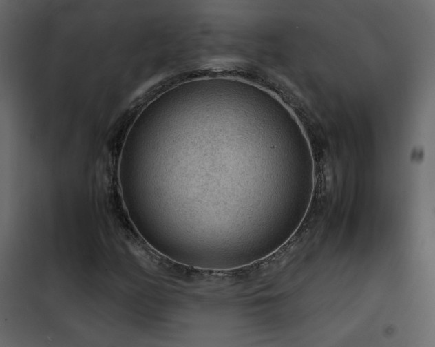 X0000102481158200808081258