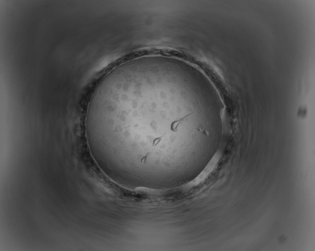 X0000102481159200808081258
