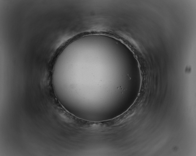 X0000102481160200808081258