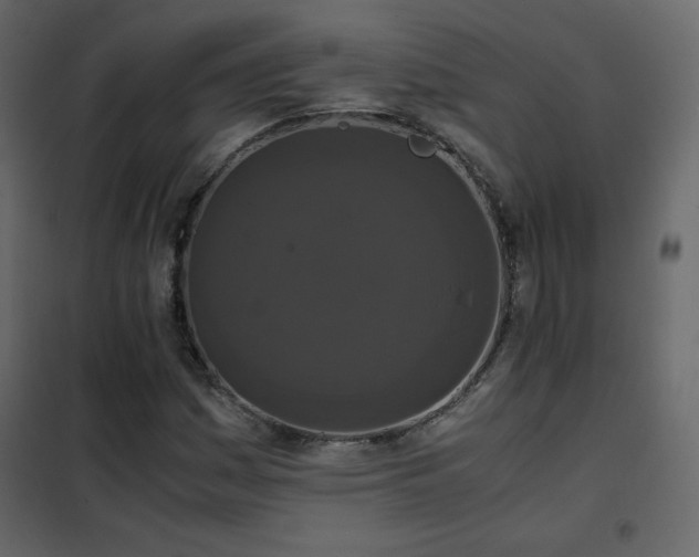 X0000102481161200808081258
