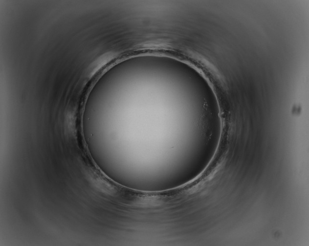 X0000102481162200808081258