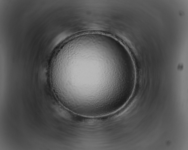 X0000102481163200808081258