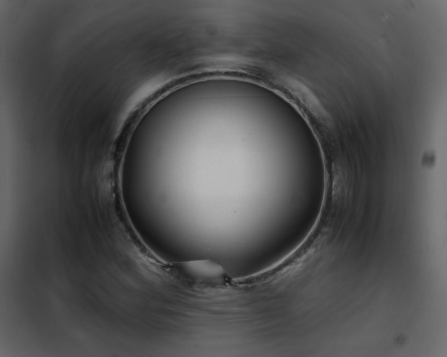 X0000102481164200808081258