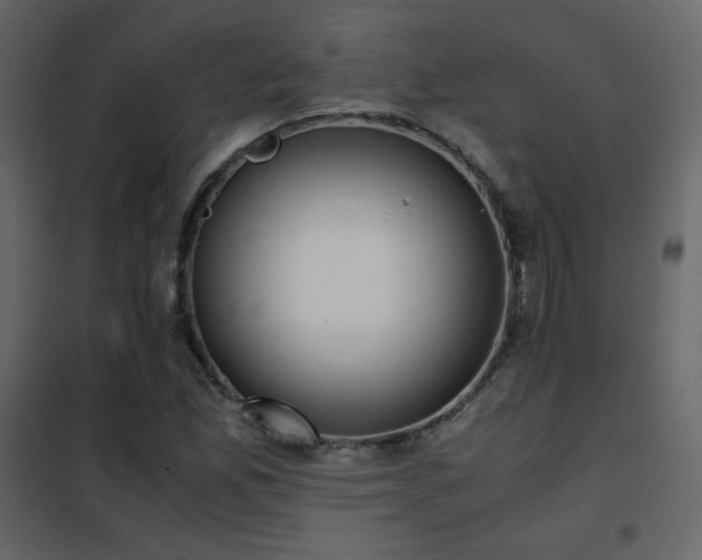 X0000102481165200808081258